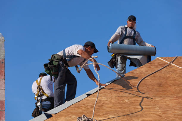 Best Roof Gutter Cleaning  in Anderson Creek, NC